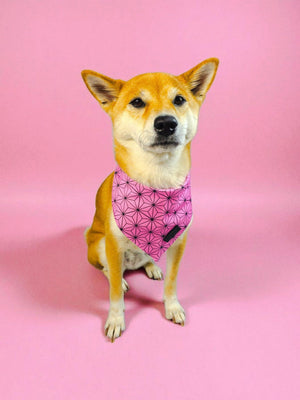 Asanoha Cooling Bandana