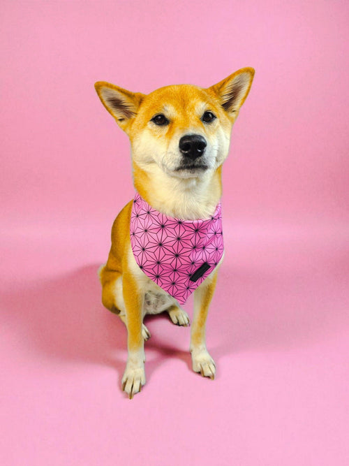 Asanoha Cooling Bandana