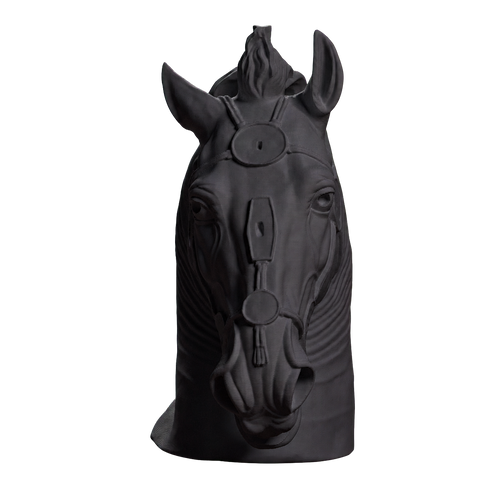 Horse Head