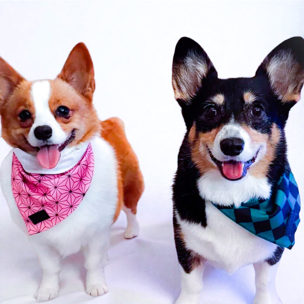 Asanoha Cooling Bandana