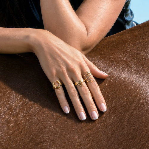 Ariston Horse Bit Equestrian Ring in Silver