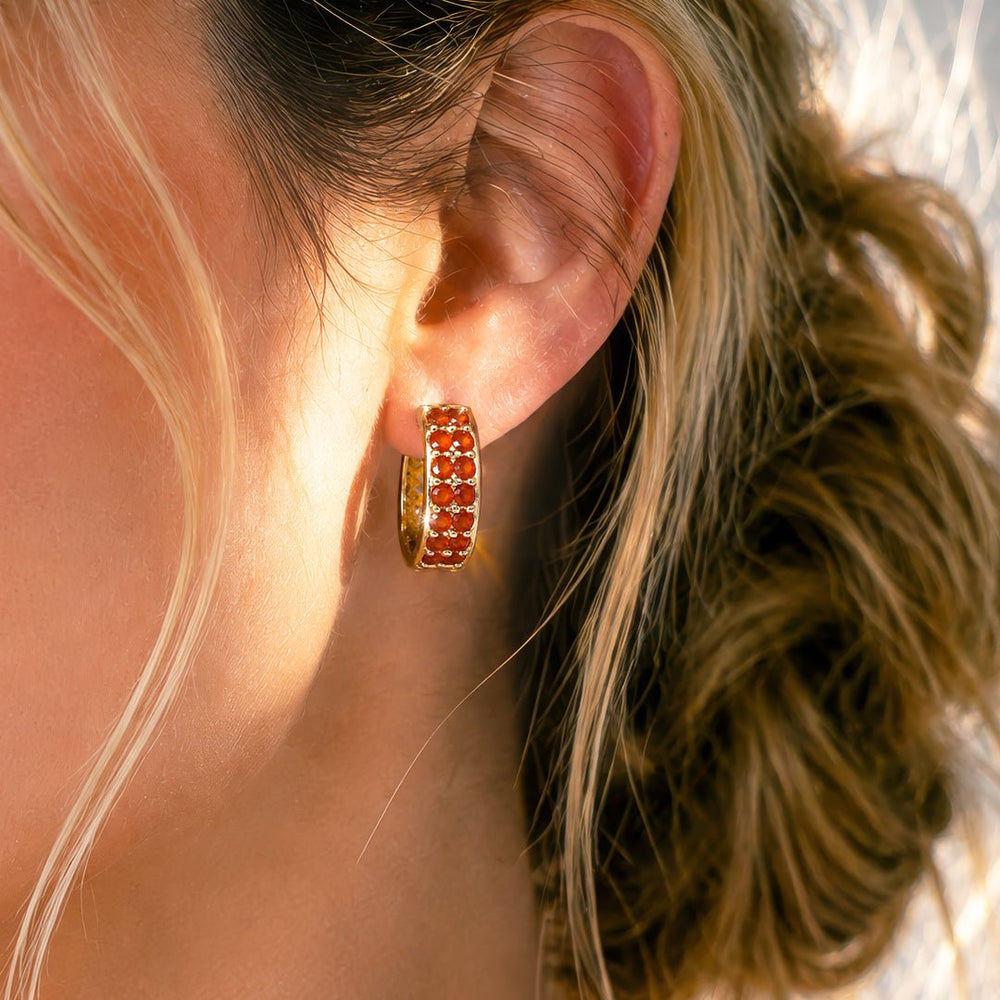 Prism - Carnelian Pave Horseshoe Earring